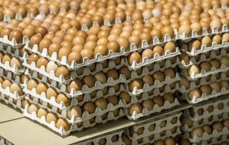 Яичная продукция тюменского производителя экспортируется в Узбекистан