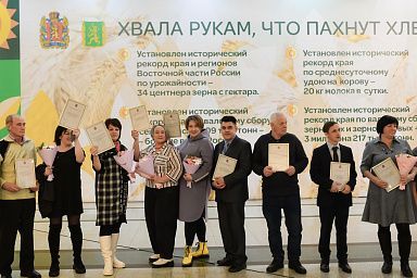 В Красноярском крае 106 садовых обществ улучшат инфраструктуру на средства господдержки