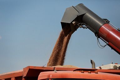 Уборка зерновых в Липецкой области приближается к экватору