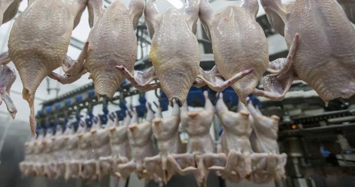 Корпорация Thaifoods Group увеличит объем экспорта курятины на 25%
