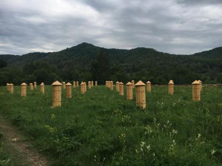 Башкирские пчеловоды накануне «Апимондии» намерены выйти на мировой рынок