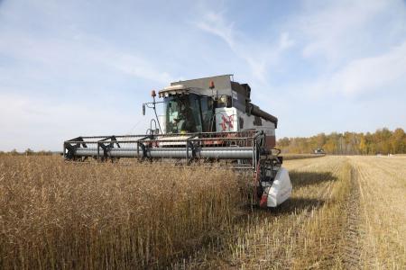 Аграрии Красноярского края намолотили 2,9 млн тонн зерна