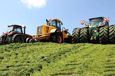 Аграрии приступили к заготовке кормов для отрасли животноводства на зимне-стойловый период 2024 – 2025 гг.