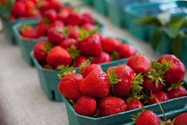 В Ивановской области более чем вдвое выросло производство ягод