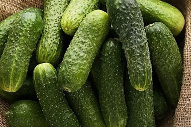 С начала года производство тепличных овощей в России увеличилось на 5,4%