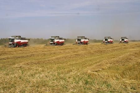 Врио министра сельского хозяйства Пензенской области доложил о ходе полевых работ