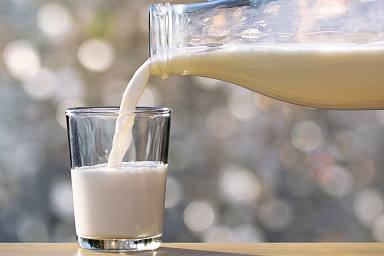 Объём реализации молока в сельхозорганизациях вырос на 4,3%