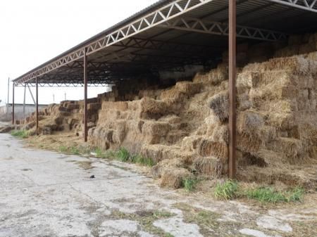 В Крыму завершена заготовка кормов для сельхозживотных
