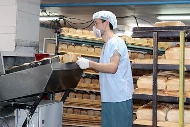 Господдержка хлебопеков увеличится в Новосибирской области вдвое для стабилизации цен на хлеб