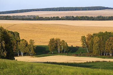 В Херсонской области проведен учет земель сельхозназначения