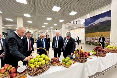 В Кабардино-Балкарии широко отметили День работника сельского хозяйства и перерабатывающей промышленности