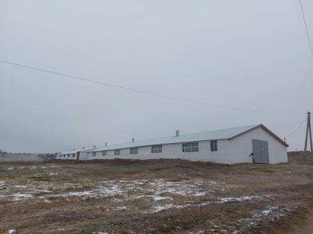 Грантовая поддержка помогает семейным фермам Саратовской области развиваться