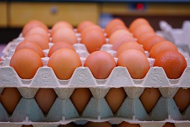 В Липецкой области с основным производителем куриного яйца заключено соглашение