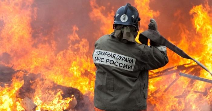 В Мордовии произошел пожар на Атемарской птицефабрике под Саранском