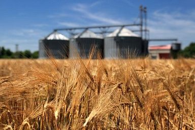 В Коми появится новый сельскохозяйственный комплекс