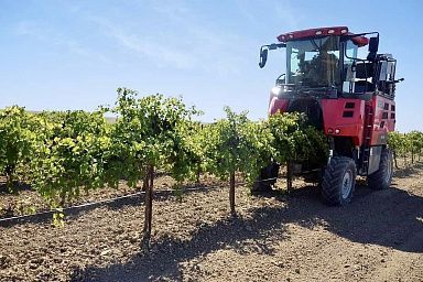 Господдержка помогла приобрести аграриям Ставрополья спецтехнику и оборудование для виноградарства