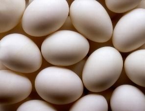 «Элинар-Бройлер» запустил собственное производство инкубационных яиц