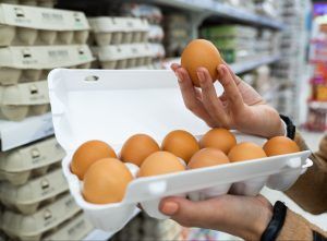 Россельхознадзор открыл поставки инкубационного яйца с 6 турецких предприятий