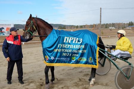 В Иркутской области названы победители конных соревнований на призы Губернатора
