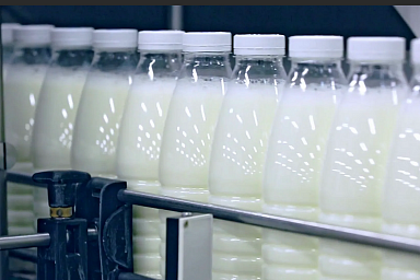 Объём реализации молока в сельхозорганизациях вырос на 4,1%