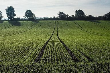 В Калужской области ежегодно вводится в сельскохозяйственный оборот около 30 тыс. га неиспользуемых земель