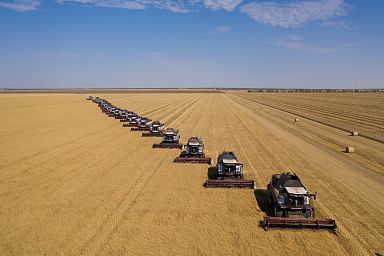 Основные отрасли АПК Новосибирской области продемонстрировали тренд  на развитие