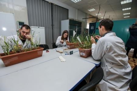 Тамбовским сельхозтоваропроизводителям возмещают затраты на обучение студентов по аграрным специальностям