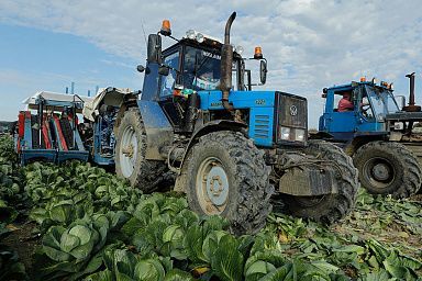 В Вологодской области подходит к завершению кормозаготовка и уборка урожая