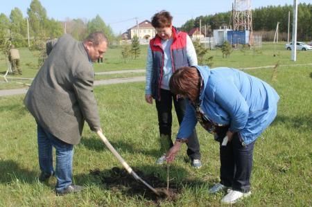 Коллектив Минсельхоза Кузбасса присоединился к акции по посадке леса