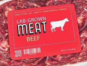 GOOD Meat строит 10 биореакторов для культивирования мяса