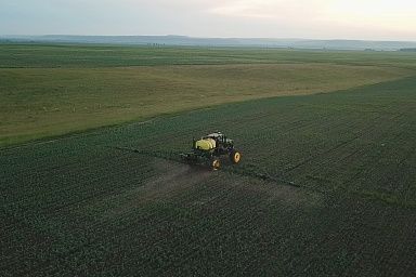 В Приангарье против сорной растительности, вредителей и болезней обработано 352,5 тысячи гектаров посевов