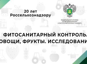 Видео: 20 лет Россельхознадзору — Фитосанитарный контроль. Овощи, фрукты. Исследования