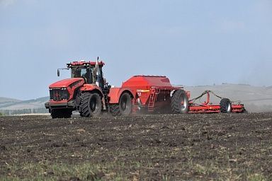 В Томской области начался сев рапса