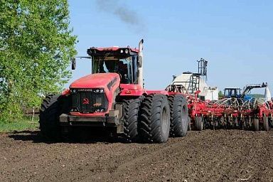 Пять районов Томской области завершили посевную кампанию