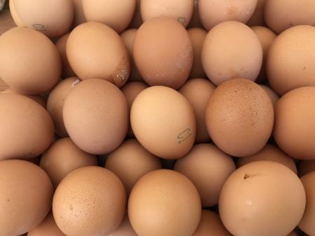 Липецкие птицеводы по итогам года планируют получить рекордное количество яиц