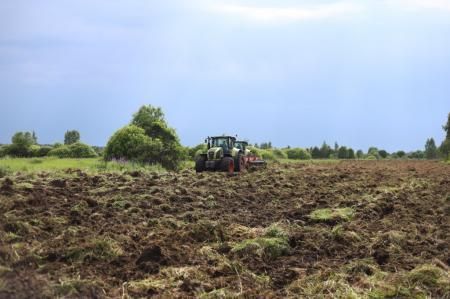 Площадь посева озимых зерновых культур в Подмосковье под урожай 2022 года увеличилась на 8,4 тыс. га