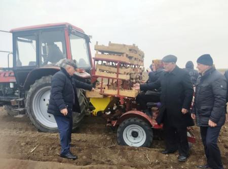 В Дагестане рассчитывают получить сверхранний урожай картофеля