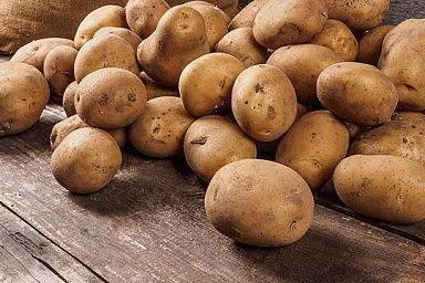 Тамбовские аграрии посадили более 3,4 тыс. га картофеля