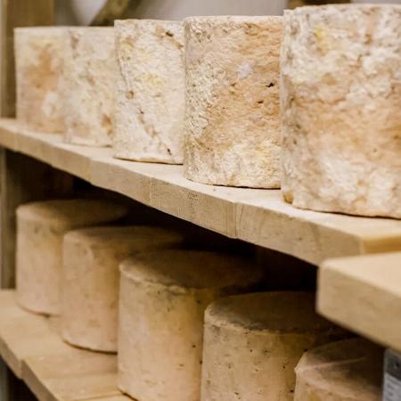 Более 14 тонн сыра произвела подмосковная сыроварня «Альдини» с начала года