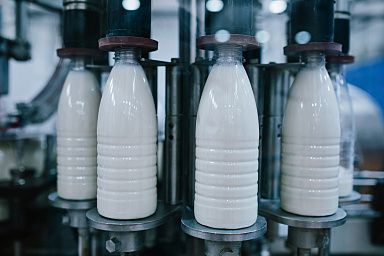 Объём реализации молока в сельхозорганизациях вырос на 5%