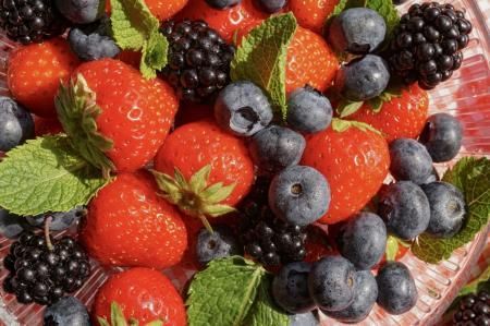 Нижегородские аграрии собрали 400 тонн фруктов и ягод в 2021 году