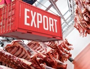 Ежегодный потенциал экспорта продукции АПК в Египет оценивается в $3,3 миллиарда