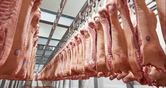 Британские свиноводы отправляют первые партии мяса в Чили