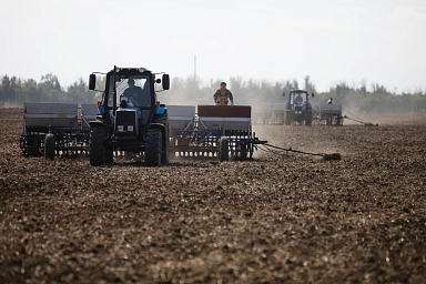 В Мелитопольском районе Запорожской области подвели итоги осеннего сева сельхозкультур