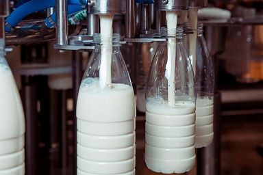 В Нижегородской области по итогам 2022 года увеличилось производство молока