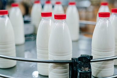 Объём реализации молока в сельхозорганизациях вырос на 7,2%