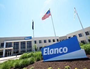 Elanco: животноводство способствует преодолению климатического кризиса