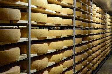 Подмосковье сохраняет лидерство по производству сыра в стране
