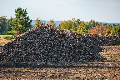 Первый миллион тонн сахарной свёклы собрали аграрии Липецкой области