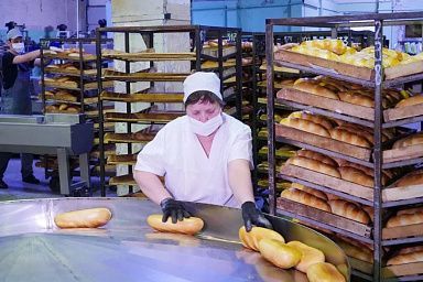 Бердянский хлебокомбинат Запорожской области в 2023 году увеличил выпуск хлебобулочных изделий